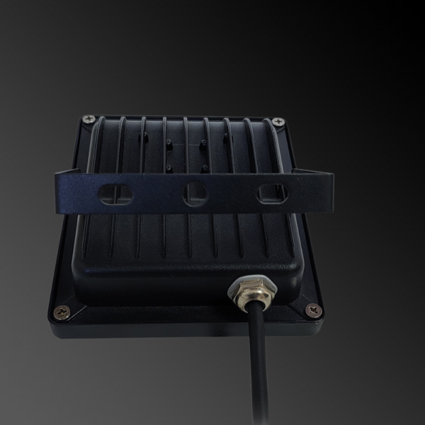 12V10WFr