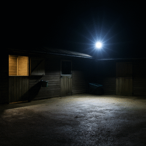 20W_Flood_Stable